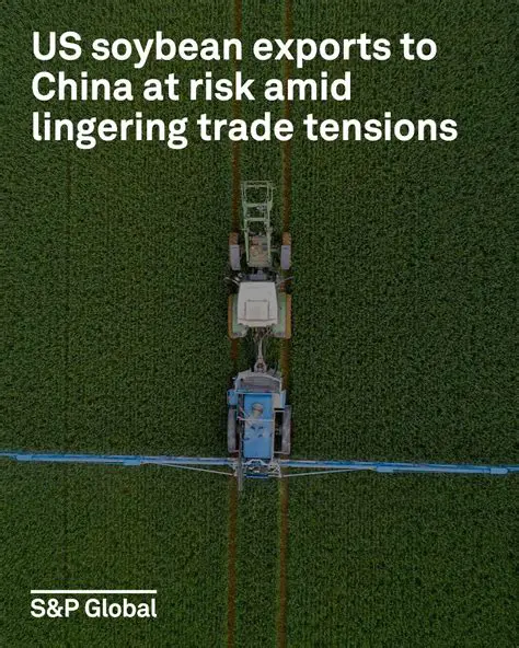 Soybeans: The Mighty Bean and Its Impact on the World