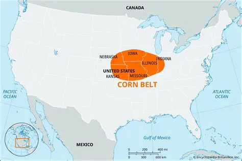 States Included in the Corn Belt