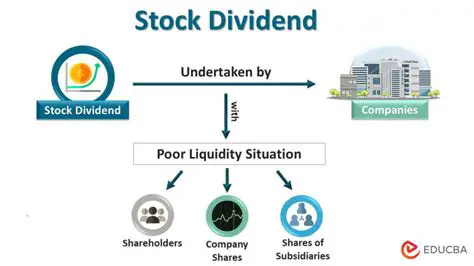 Status of Dividend Distribution
