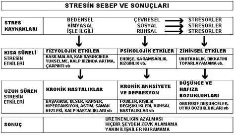 Stresin Nedenleri ve Belirtileri