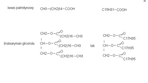 Struktura kwasu palmitynowego