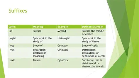 Suffixes Indicating Structure or Tissue