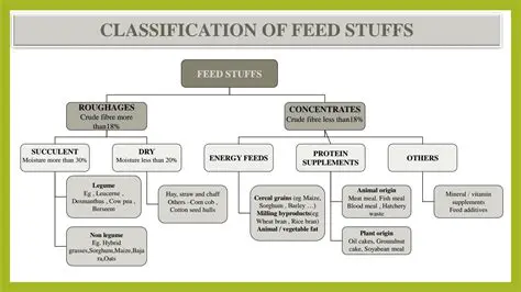 Support for Various Feed Types