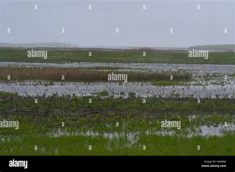 Supporting a wide range of plant and animal species