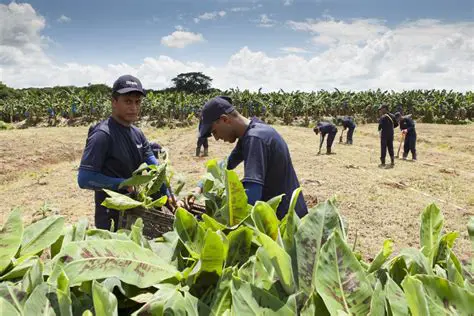 Sustainable Agriculture Mission