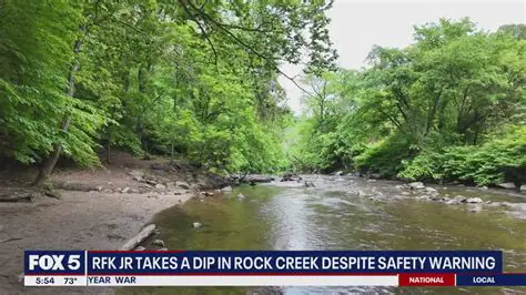Breaking News: Swimmer Identified in Rock Creek After Fox News Coverage