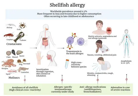 Symptoms of Shellfish Allergy