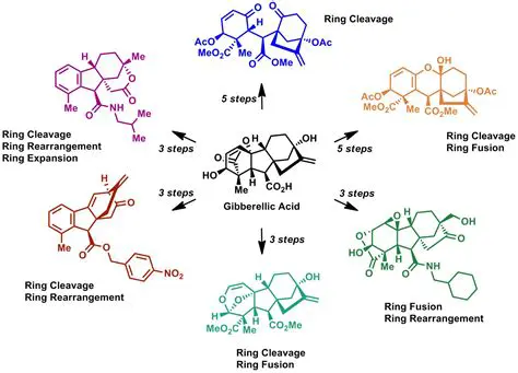 Synthesis of complex molecules