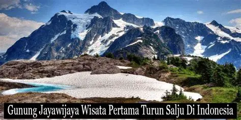 Taman Nasional Gunung Jayawijaya