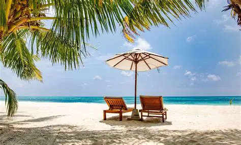 Tatil Tercihleri ve Sebepleri