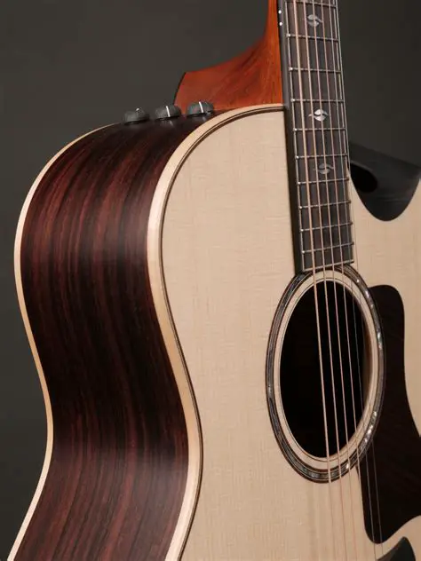 Taylor Builder's Edition 816ce Review: A Deep Dive into This Resonant Acoustic Marvel