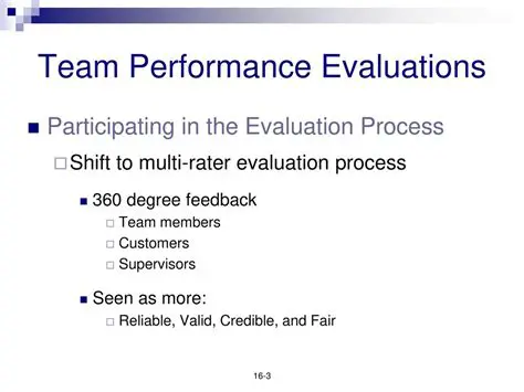 Team Performance Evaluations