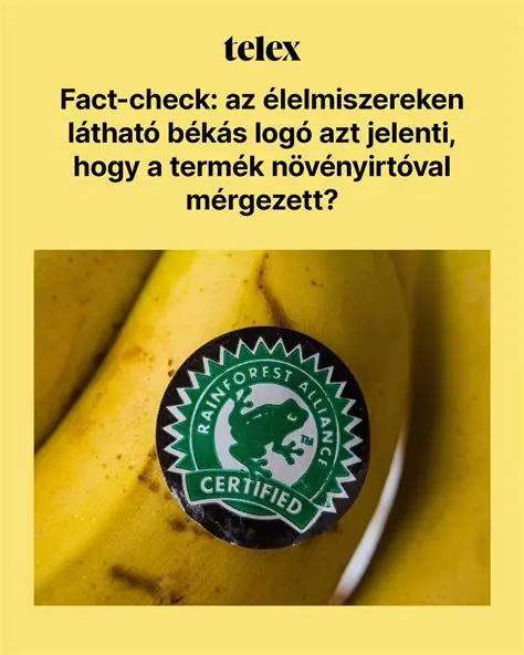 Telex.hu: A Hírek Friss Szemlélete és a Digitális Újságírás Új Útmutatója