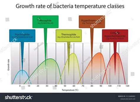 Temperature Ranges and Yeast Growth