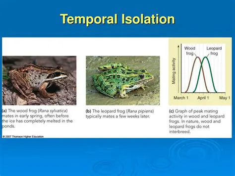 Temporal Isolating Mechanism