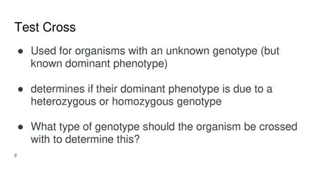 Testcross Involving an Individual of Unknown Genotype and an Individual Homozygous Recessive