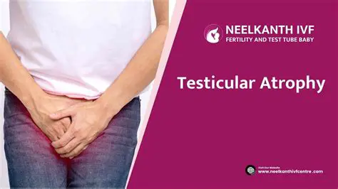 Testicular shrinkage in men