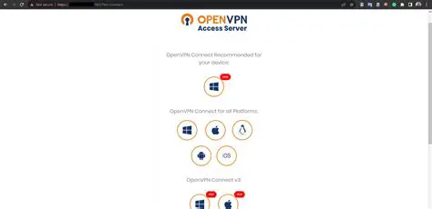 Testing the OpenVPN Connection