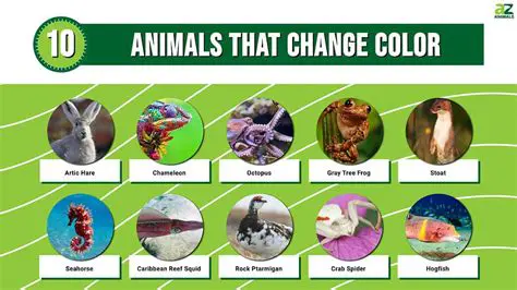 The ability to change color