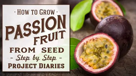 The Abundant Potential of Passion Fruit Seeds