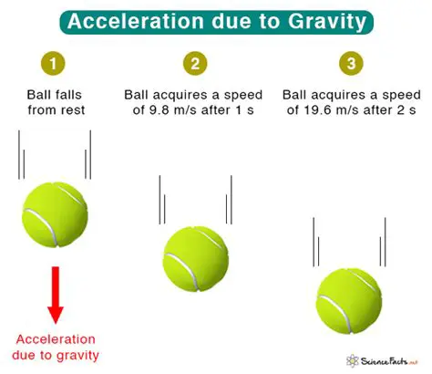 The Acceleration Due to Gravity on Venus