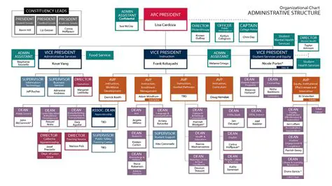 The Administrative Structure