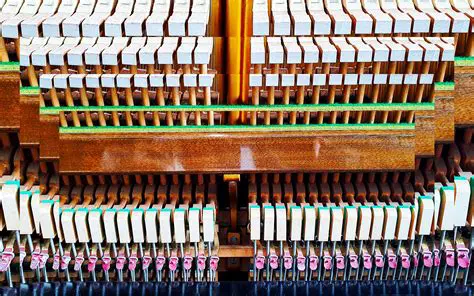 The Anatomy of an Electric Piano