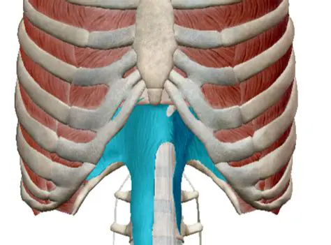 The Anatomy of Inspiration