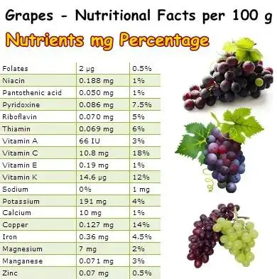 The Antioxidant Properties of Grapes