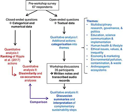 The Approach Used in This Study