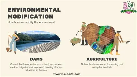 The Art of Environmental Modification