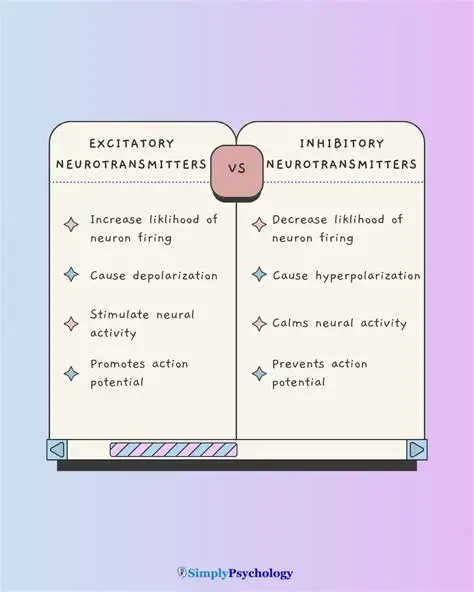 The Balance Between Excitatory and Inhibitory Processes