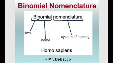 The Basics of Binomial Nomenclature