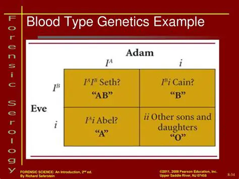 The Basics of Blood Type Genetics