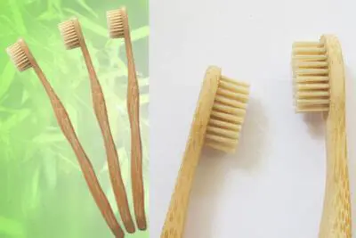 The Basics of Brush Bristles