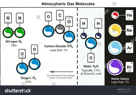 The Basics of Gas Molecules