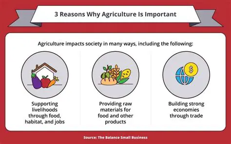 The Benefits of Agriculture