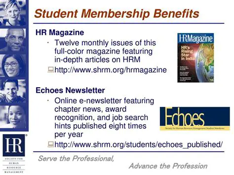 The Benefits of Echoes Hub