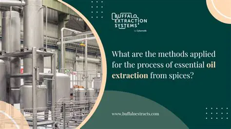 The Benefits of Essential Oil Extraction