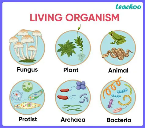 The Building as a Living Organism