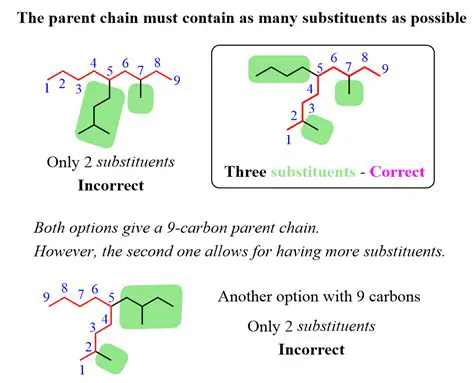 The Carbon Chain and Substituent Roles