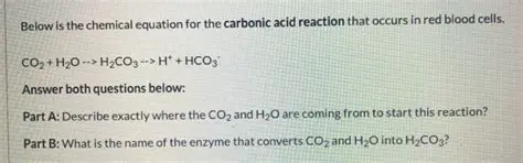 The Carbonic Acid Reaction