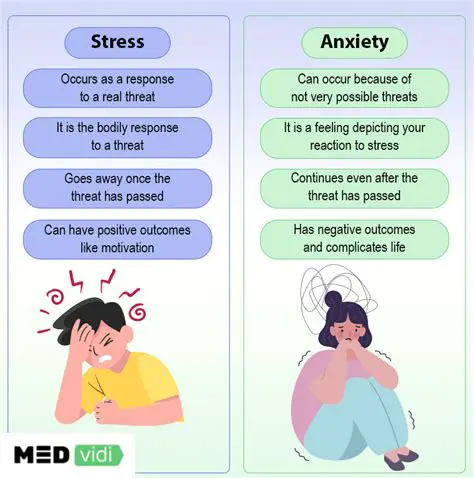 The Causes of Examination Stress and Anxiety