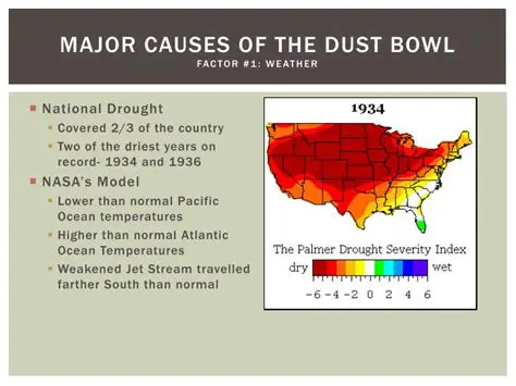 The Causes of the Dust Bowl