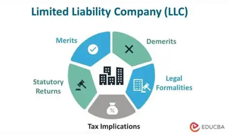 The Challenges Faced by Limited Liability Companies