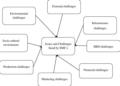 The Challenges Faced by SMEs in Accessing Banking Credit