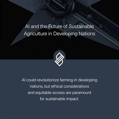 The Challenges of Living in Developing Nations