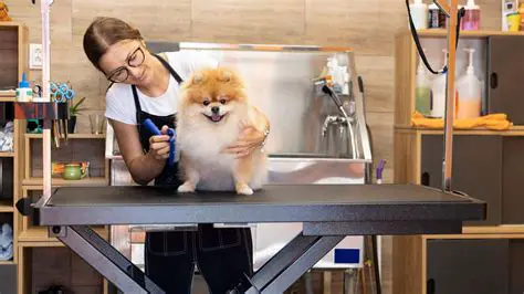 The Challenges of Pet Boarding and Grooming Businesses
