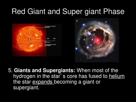 The Characteristics of Red Supergiants and Luminous Red Giants