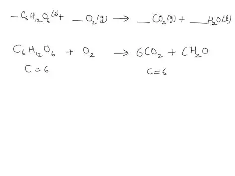 The Chemical Equation for the Combustion of Sugar